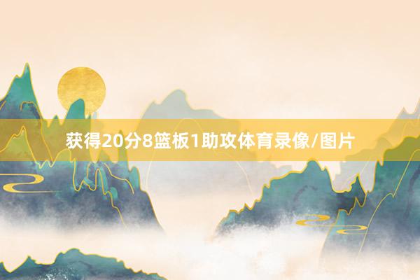获得20分8篮板1助攻体育录像/图片