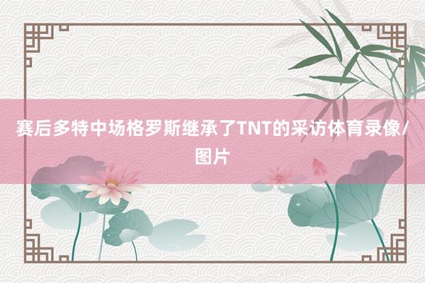 赛后多特中场格罗斯继承了TNT的采访体育录像/图片