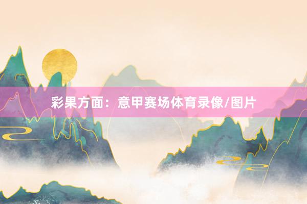 彩果方面：意甲赛场体育录像/图片