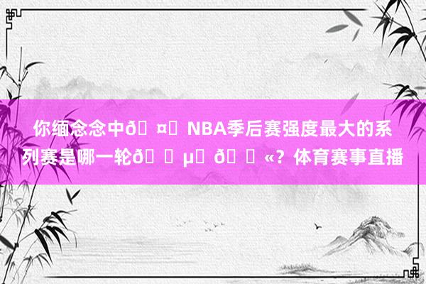 你缅念念中🤕NBA季后赛强度最大的系列赛是哪一轮😵‍💫？体育赛事直播
