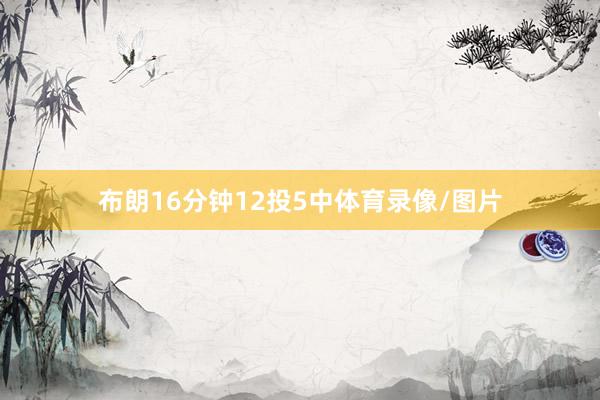 布朗16分钟12投5中体育录像/图片