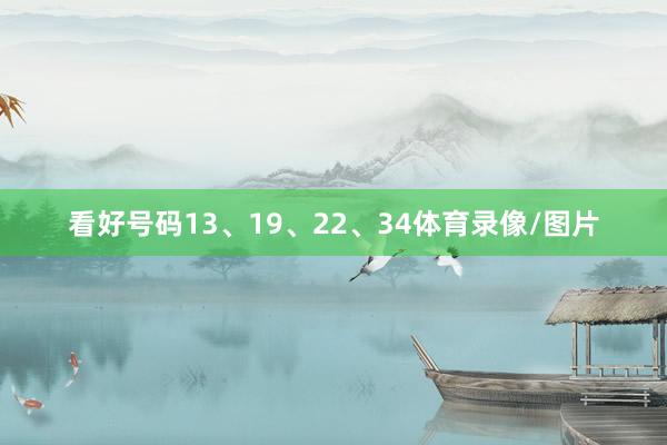 看好号码13、19、22、34体育录像/图片