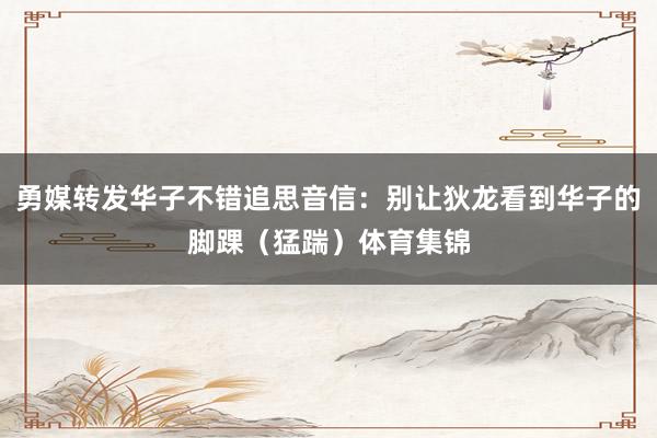 勇媒转发华子不错追思音信：别让狄龙看到华子的脚踝（猛踹）体育集锦