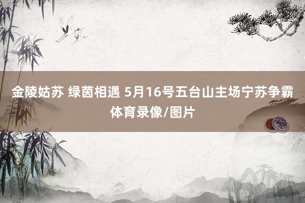 金陵姑苏 绿茵相遇 5月16号五台山主场宁苏争霸体育录像/图片