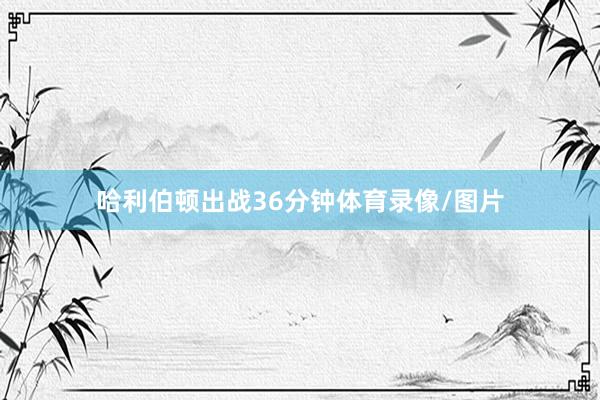 哈利伯顿出战36分钟体育录像/图片