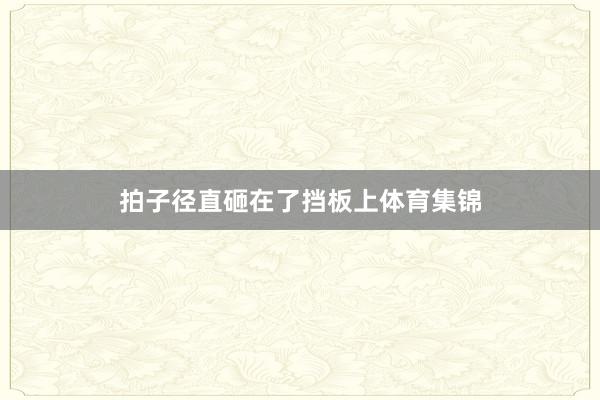 拍子径直砸在了挡板上体育集锦