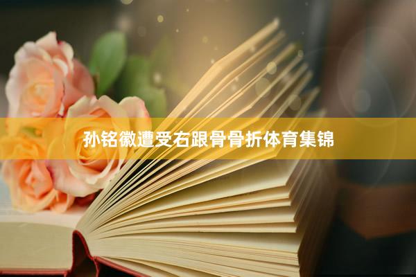 孙铭徽遭受右跟骨骨折体育集锦