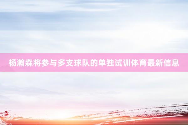 杨瀚森将参与多支球队的单独试训体育最新信息