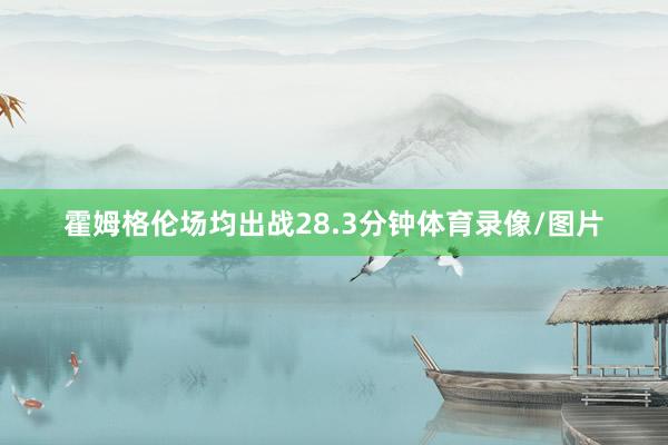 霍姆格伦场均出战28.3分钟体育录像/图片