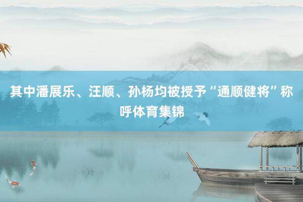 其中潘展乐、汪顺、孙杨均被授予“通顺健将”称呼体育集锦