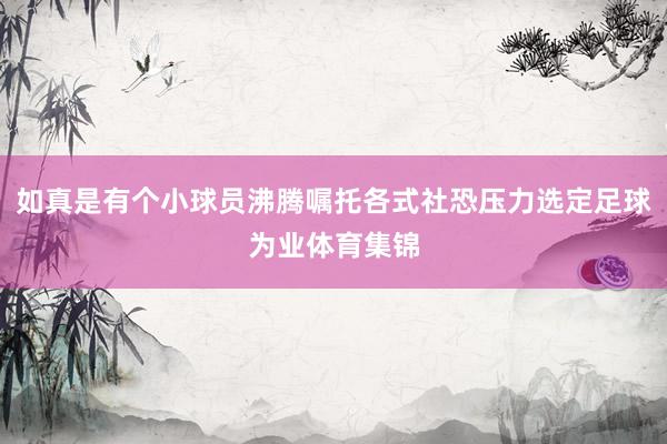 如真是有个小球员沸腾嘱托各式社恐压力选定足球为业体育集锦