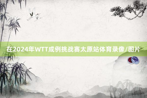 在2024年WTT成例挑战赛太原站体育录像/图片