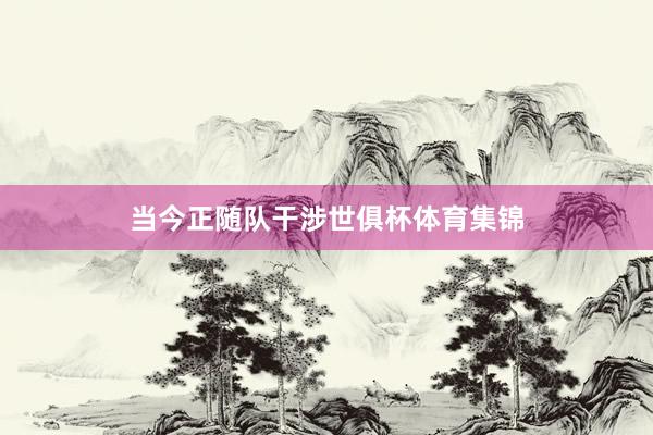 当今正随队干涉世俱杯体育集锦