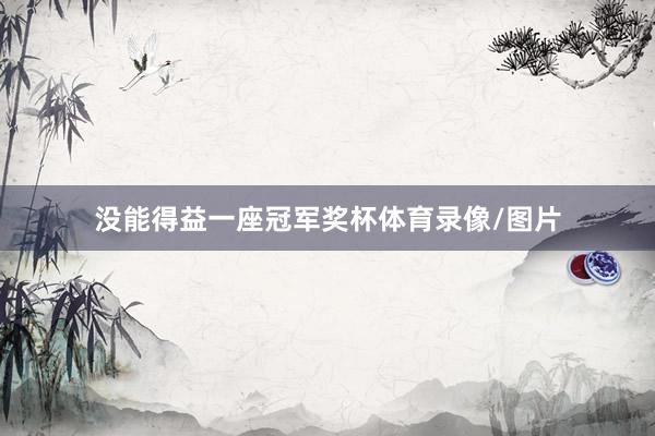 没能得益一座冠军奖杯体育录像/图片