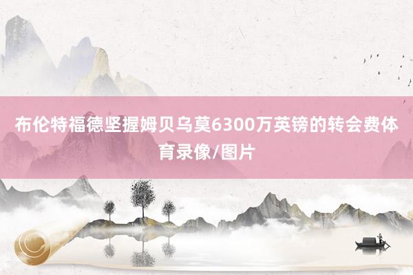 布伦特福德坚握姆贝乌莫6300万英镑的转会费体育录像/图片