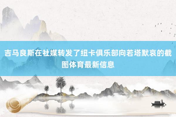 吉马良斯在社媒转发了纽卡俱乐部向若塔默哀的截图体育最新信息