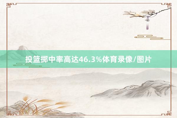 投篮掷中率高达46.3%体育录像/图片