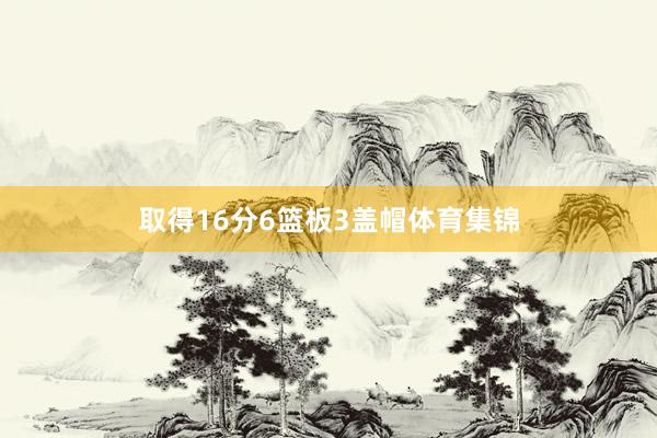 取得16分6篮板3盖帽体育集锦