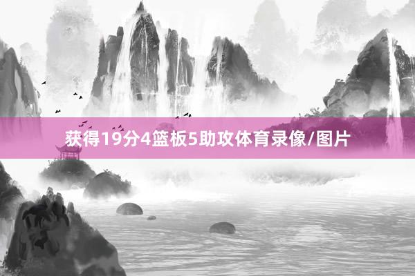 获得19分4篮板5助攻体育录像/图片