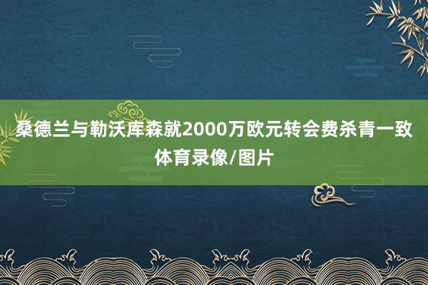 桑德兰与勒沃库森就2000万欧元转会费杀青一致体育录像/图片