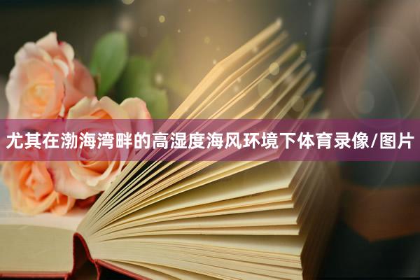 尤其在渤海湾畔的高湿度海风环境下体育录像/图片