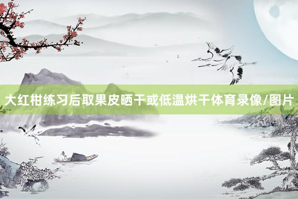 大红柑练习后取果皮晒干或低温烘干体育录像/图片
