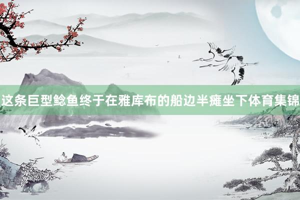 这条巨型鲶鱼终于在雅库布的船边半瘫坐下体育集锦