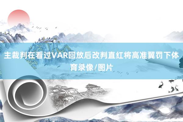 主裁判在看过VAR回放后改判直红将高准翼罚下体育录像/图片