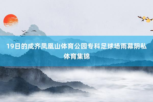19日的成齐凤凰山体育公园专科足球场雨幕阴私体育集锦