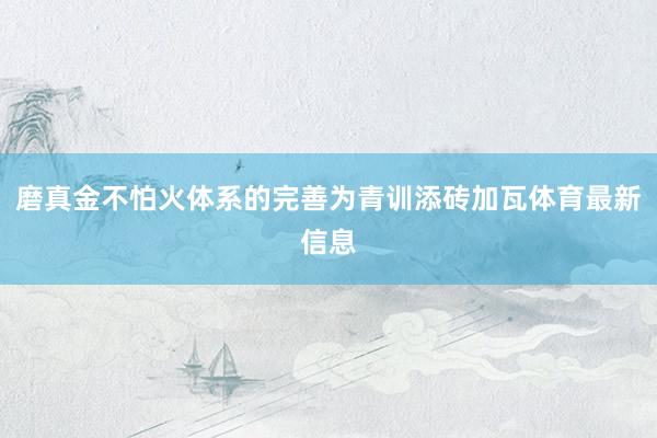 磨真金不怕火体系的完善为青训添砖加瓦体育最新信息