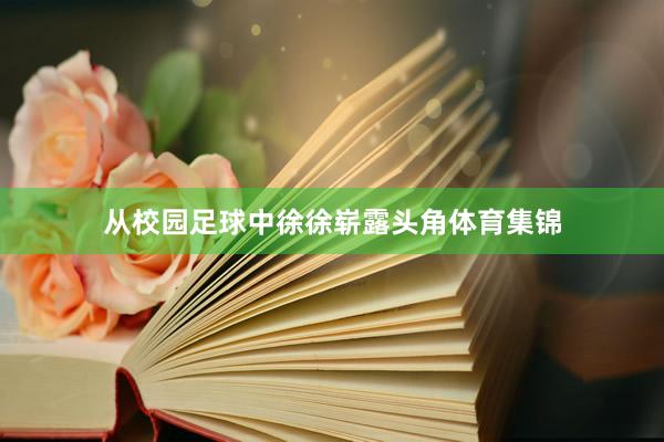 从校园足球中徐徐崭露头角体育集锦