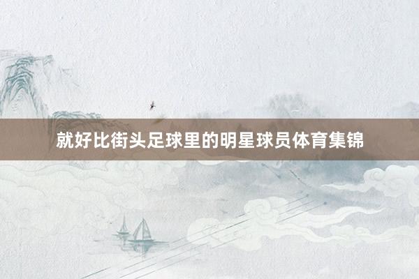 就好比街头足球里的明星球员体育集锦