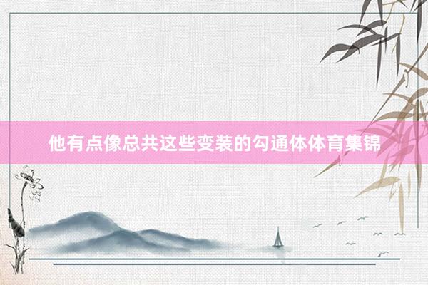 他有点像总共这些变装的勾通体体育集锦