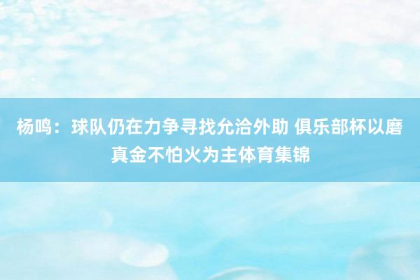 杨鸣：球队仍在力争寻找允洽外助 俱乐部杯以磨真金不怕火为主体育集锦