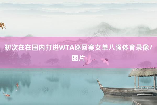 初次在在国内打进WTA巡回赛女单八强体育录像/图片