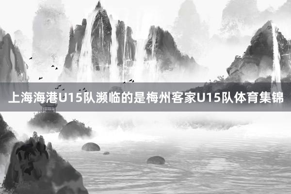 上海海港U15队濒临的是梅州客家U15队体育集锦