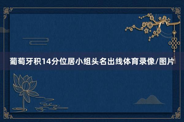 葡萄牙积14分位居小组头名出线体育录像/图片