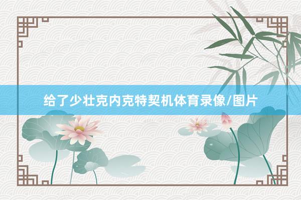 给了少壮克内克特契机体育录像/图片