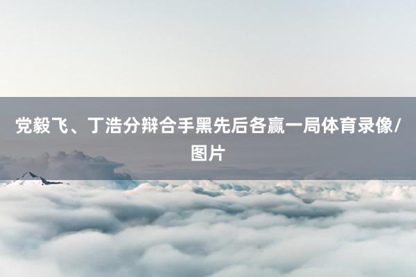 党毅飞、丁浩分辩合手黑先后各赢一局体育录像/图片