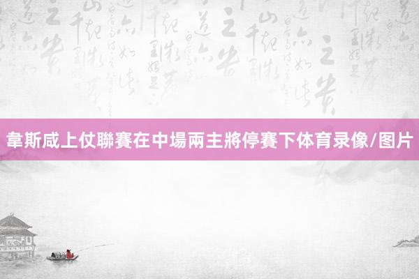 韋斯咸上仗聯賽在中場兩主將停賽下体育录像/图片