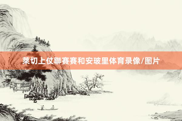 萊切上仗聯賽賽和安玻里体育录像/图片