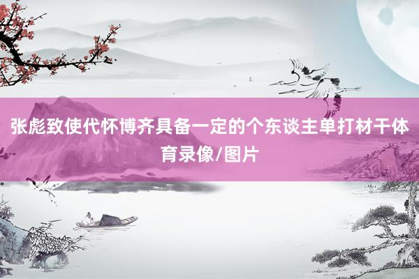 张彪致使代怀博齐具备一定的个东谈主单打材干体育录像/图片