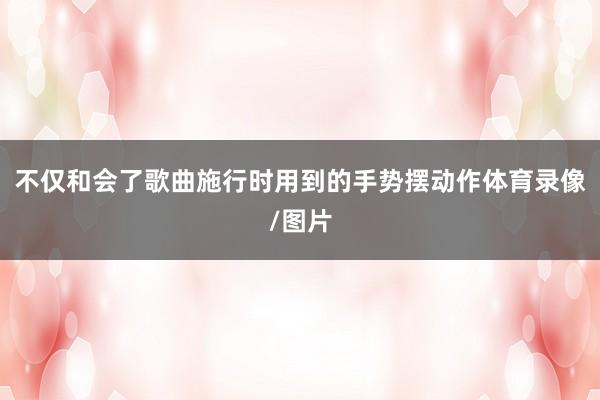 不仅和会了歌曲施行时用到的手势摆动作体育录像/图片