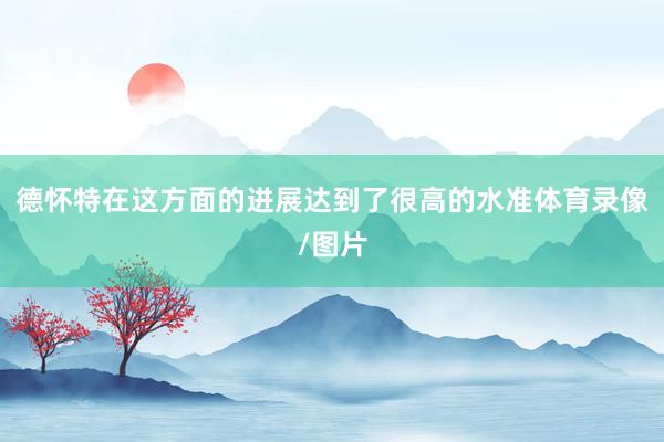 德怀特在这方面的进展达到了很高的水准体育录像/图片