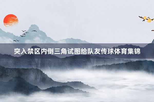 突入禁区内倒三角试图给队友传球体育集锦