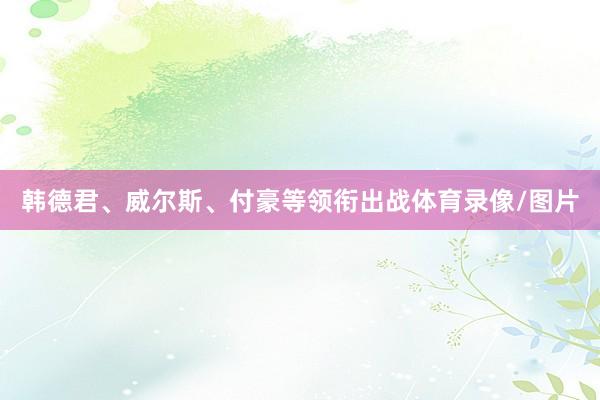 韩德君、威尔斯、付豪等领衔出战体育录像/图片