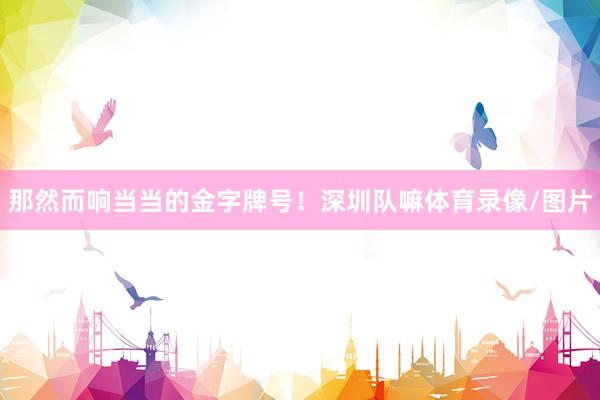 那然而响当当的金字牌号！深圳队嘛体育录像/图片