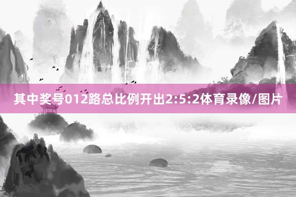其中奖号012路总比例开出2:5:2体育录像/图片