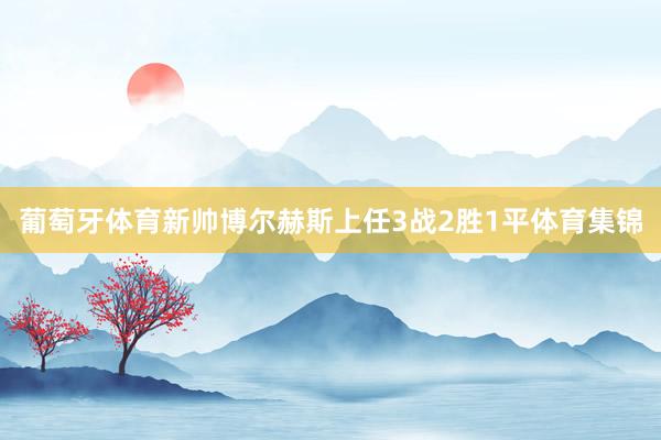 葡萄牙体育新帅博尔赫斯上任3战2胜1平体育集锦