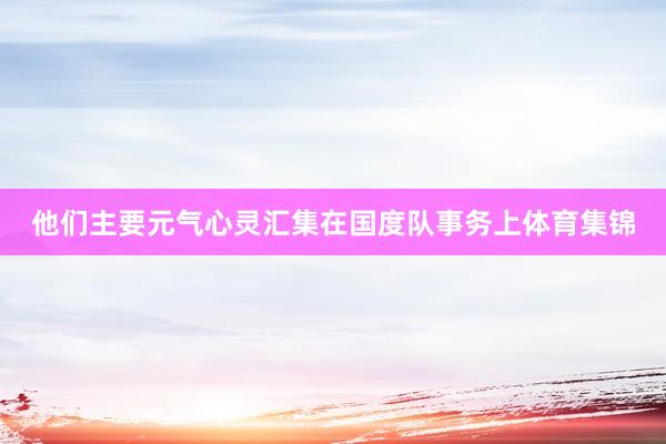 他们主要元气心灵汇集在国度队事务上体育集锦